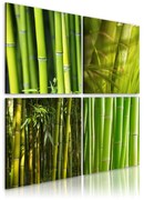 Печат върху платно - Bamboos 40x40