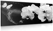 Картина на платно – Черно-бяла орхидея и пеперуда