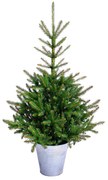 Изкуствена коледна елха с височина 80 cm Fir – Dakls