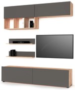 Секция Алана