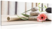 Картина на платно – Медитативен и уелнес натюрморт