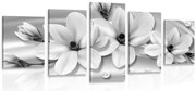картини от 5 части – Луксозна магнолия с перли в черно-бяло