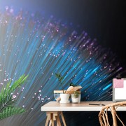 Тапет – Влакнеста оптика