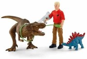 Playset Schleich 41465 5 Части