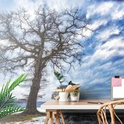 Фототапет – Дървета през зимата