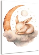 Картина на платно – Мечтателен зайче