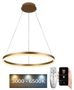 Brilagi - LED Димируем пендел CIRCLE LED/42W/230V 3000-6500K + д.у.