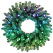 Twinkly GD20P4425P00 - LED RGB регулируема коледна верига 50xLED, 60 см, Wi-Fi