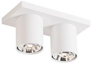 Модерен таванен прожектор бял 2-светлина - Tubo