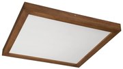 Brilagi-LED Димируема лампа WOODY FRAME LED/50W/230V дъб 60x60 см IP44 + д.у.