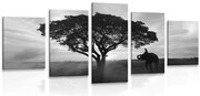 картини от 5 части – Слон при изгрев в черно-бяло