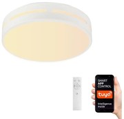 Immax NEO 07153-W50 - LED Димируема лампа PERFECTO 48W/230V Wi-Fi Tuya + д.у.