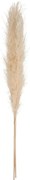 Изкуствено растение atmosphera Natural Pampa, 110см, 3бр, Бежов