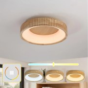 Brilagi - LED таванно осветително тяло FALCON WOOD MODERN LED/30W/230V пр. 45 см дърво