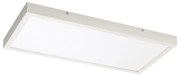 Rabalux 71077 - LED Панел за повърхностен монтаж DAMEK LED/24W/230V 4000K 60x30 см