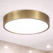 Brilagi - LED таванно осветително тяло за баня POOL LED/36W/230V Ø 40 см IP54 месинг