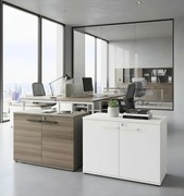 Кабинет Storix-Kafe Skouro