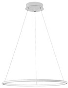 LED Полилей на верижка ORION LED/22/230V