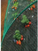 Мрежа за защита от птици Birdnet - Екструдирана 8 х 10 метра