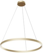 Плафон Maytoni Rim Lite LED-Brass