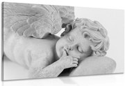 Картина на платно – Черно-бял спящ ангел