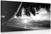 Картина на платно – Изгрев на карибския плаж в черно-бяло изпълнение