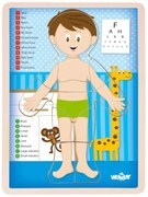 Woody - Човешкото тяло, момче - дървен пъзел