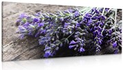 Картина на платно – Букет от лавандула