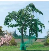 Мрежа за защита от птици Birdnet - Екструдирана 4 х 50 метра