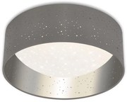 Briloner 3482014 - LED таванно осветление STARRY LED/12W/230V сиво/сребристо