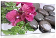 Картина на платно – Цъфтяща орхидея и уелнес камъни