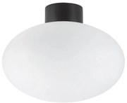 Ideal Lux - Външно таванно осветително тяло CLIO 1xE27/42W/230V IP44 черно