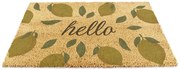 Изтривалка от кокосови влакна 40x60 cm Hello Lemons – Artsy Doormats