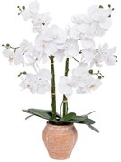 Изкуствено цвете atmosphera Dena Orchid, 65 cm