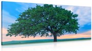 Картина на платно – Самотен дъб
