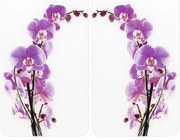 WENKO 2521433500 -Капак за плоча ABDECKPLATTE - ЦВЕТЕ/РАСТЕНИЕ 30x52 cm пъстроцветен