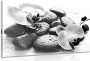 Картина на платно – Красива хармония на камъни и орхидея в черно-бяло