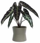 Керамична саксия за цветя ø 20 cm Diana – Artevasi