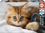 Educa - 17154 Пъзел Коте 200 ел.