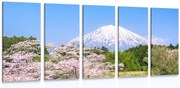картини от 5 части – Вулканът Фуджи