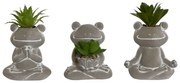 Декоративно Растение Home ESPRIT полиетилен Цимент Жаба 7,5 x 5 x 11 cm (3 броя)