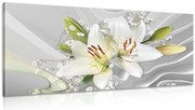 Картина на платно – Бяла лилия на интересен фон
