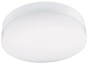 LED Плафон за баня LED/24W/230V 3000/4000/6000K Ø 28 см IP44