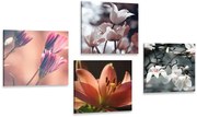Комплект картини – Нежност на цветята