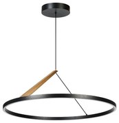 Rabalux 72352 - LED полилей на кабел RENARA LED/40W/230V 3000K