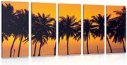 картини от 5 части – Залез над палми