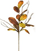 Листа от магнолия Magnoliese  (6 τεμάχια)