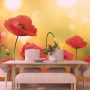 Самозалепващ тапет – Макове в сияеща светлина