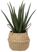 Изкуствено растение atmosphera Aloe Vera, 37cm