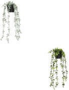Изкуствено растение atmosphera Merly Eucalyptus, 51 cm, Различни видове